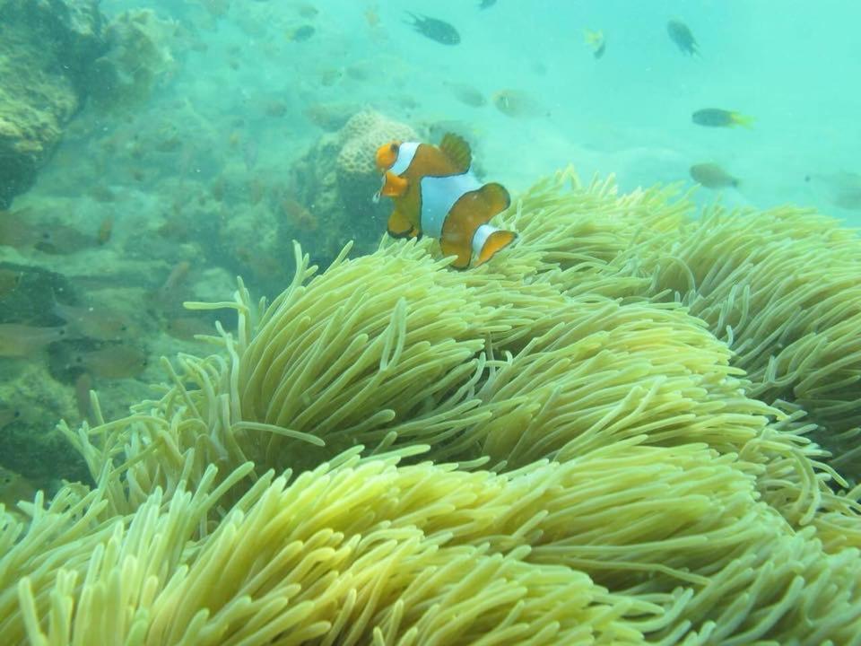 Bai Bai Home Khao Lak Esterno foto